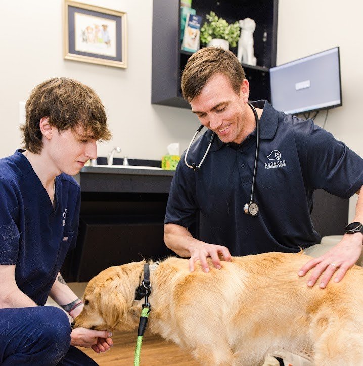 Veterinary Clinic Veterinary Clinic